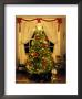 Decorated Christmas Tree Displays In Window, Oregon, Usa by Steve Terrill Limited Edition Print