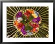 Spiritual Hindu Offerings Of Flowers And Palms, Ubud, Bali, Indonesia by Philip Kramer Limited Edition Print
