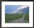 Alaska Pipeline Running Along Dalton Highway Through Atigan Valley by Rich Reid Limited Edition Print