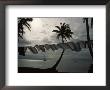 Buca Bay, Laundry And Palm Trees by James L. Stanfield Limited Edition Pricing Art Print
