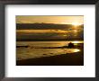 Double Bluff Beach At Sunset, Useless Bay, Whidbey Island, Washington, Usa by Trish Drury Limited Edition Print