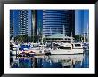 Embarcadero Marina In San Diego, San Diego, California by Richard Cummins Limited Edition Pricing Art Print