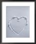 Heart In The Snow by John Burcham Limited Edition Print