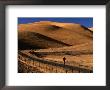 Person Jogging Along Road Through Hills, Usa by Nicholas Pavloff Limited Edition Print