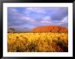 Uluru, Uluru-Kata Tjuta National Park, Northern Territory, Australia by John Banagan Limited Edition Pricing Art Print