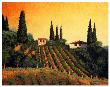 Vineyards Of Tuscany by Santo De Vita Limited Edition Pricing Art Print