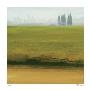 Tuscan Field Ii by Elise Remender Limited Edition Pricing Art Print