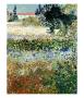 Garden In Bloom, Arles, C.1888 by Vincent Van Gogh Limited Edition Print