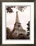 Eiffel Tower In Spring by Jonathan Larsen Limited Edition Print