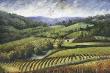 Tuscan Valley by Marie Frederique Limited Edition Pricing Art Print