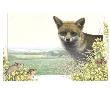 Fox And Mice by Alan Baker Limited Edition Print