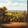 Tuscan Vista by Arcobaleno Limited Edition Print