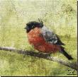 Bird Buddy I by Kay Daichi Limited Edition Pricing Art Print