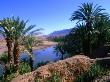Date Palms In The Draa Valley, Draa Valley, Ouarzazate, Morocco by John Elk Iii Limited Edition Print