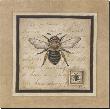 Worker Bee by Constance Lael Limited Edition Print