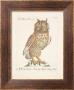 Owls by Xaviero Manetti Limited Edition Print
