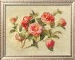 Camellias by Danhui Nai Limited Edition Pricing Art Print