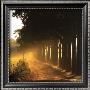 Evening Glory by Steven Mitchell Limited Edition Print
