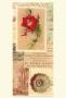 Vintage Rose Panel Ii by Gillian Fullard Limited Edition Print
