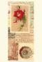 Vintage Rose Panel Ii by Gillian Fullard Limited Edition Pricing Art Print