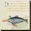 Sawfish by Pietro Candido Decembrio Limited Edition Print