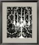 Patterned Candelabra I by Ethan Harper Limited Edition Pricing Art Print