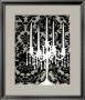 Patterned Candelabra I by Ethan Harper Limited Edition Print