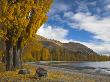 Autumnal Trees On The Shores Of Lake Wanaka, Otago, South Island, New Zealand by Adam Burton Limited Edition Print