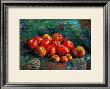 Apples by Vincent Van Gogh Limited Edition Print