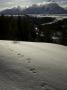 Tetons With The Snake River And Snowshoe Hare Tracks In Front by Tim Laman Limited Edition Print