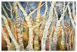 Birch Grove With Moon by Sharon Pitts Limited Edition Pricing Art Print