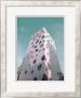 Modern Building In Tokyo by Naxart Limited Edition Print