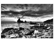Black And White Rocky Coast by Nish Nalbandian Limited Edition Print