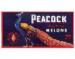 Peacock Melons by J.H. Smith Limited Edition Pricing Art Print