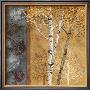 Birch Tree In Autumn I by Conrad Knutsen Limited Edition Print