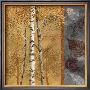 Birch Tree In Autumn Ii by Conrad Knutsen Limited Edition Print