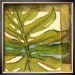 Seaside Palms Iii by Jennifer Goldberger Limited Edition Print