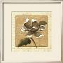 White Magnolia Square by Julie Ueland Limited Edition Print