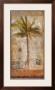 Palm Tree I by Kemp Limited Edition Print