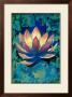 Lotus Ii by Marcella Rose Limited Edition Print