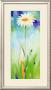 White Daisy Panel by Heinz Voss Limited Edition Print