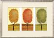 Three Trees by Tandi Venter Limited Edition Print