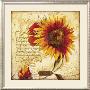 The Sun by Joadoor Limited Edition Print