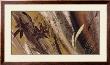 Bouquet D'or Ii by Anne Brochard Limited Edition Print