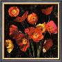 Poppy Bouquet Ii by John Seba Limited Edition Pricing Art Print