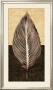 Palm Leaf I by John Seba Limited Edition Pricing Art Print