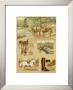 Promenade by Laurence David Limited Edition Pricing Art Print