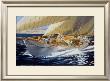 Bow Wave by A. D. Houston Limited Edition Pricing Art Print