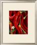 Red Peppers by Michael Rosenfeld Limited Edition Pricing Art Print