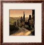 Country Lane, Tuscany by Elizabeth Carmel Limited Edition Print